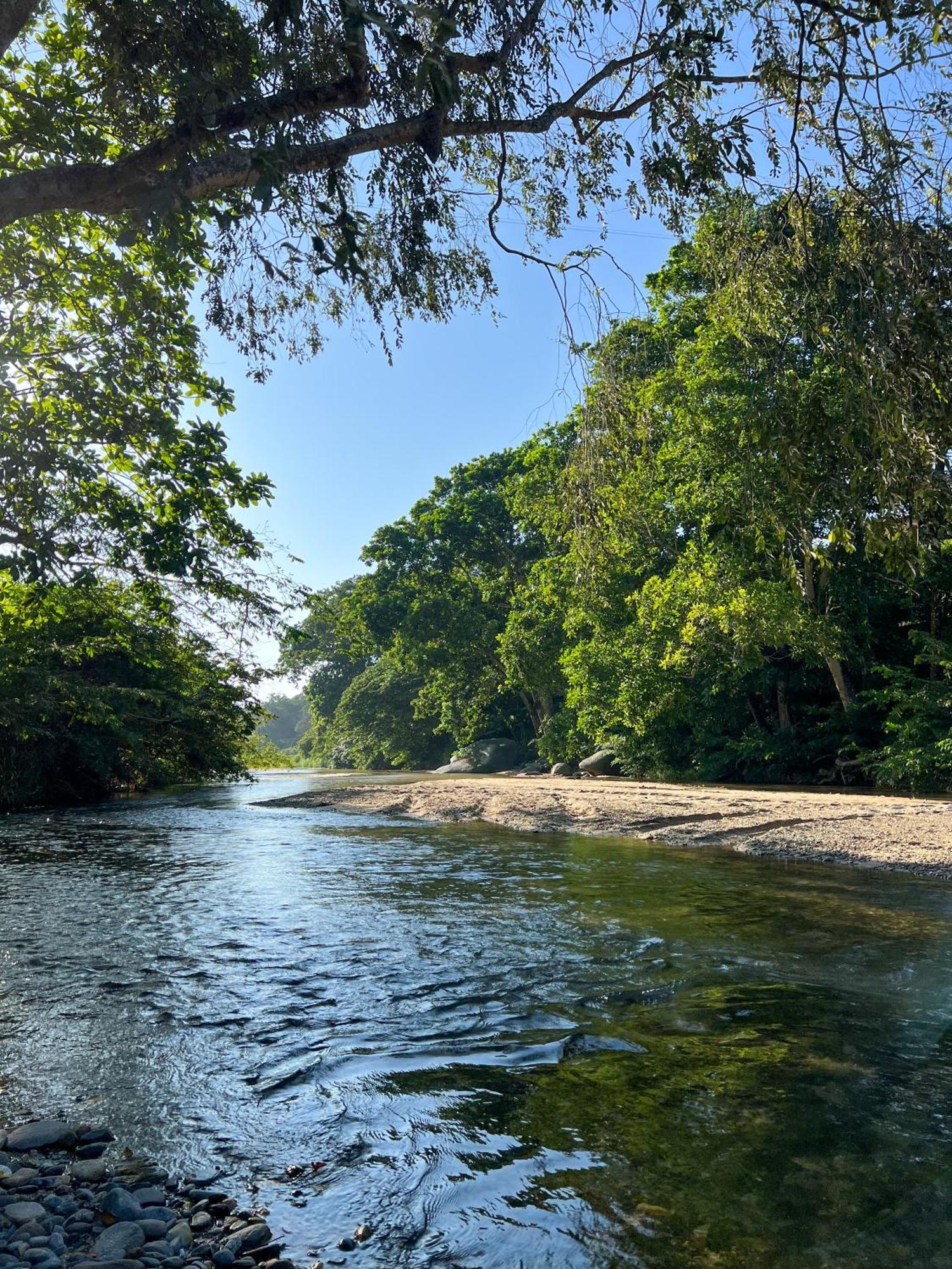 Tayrona Cachaco River Ecohostal El Zaino Exterior photo